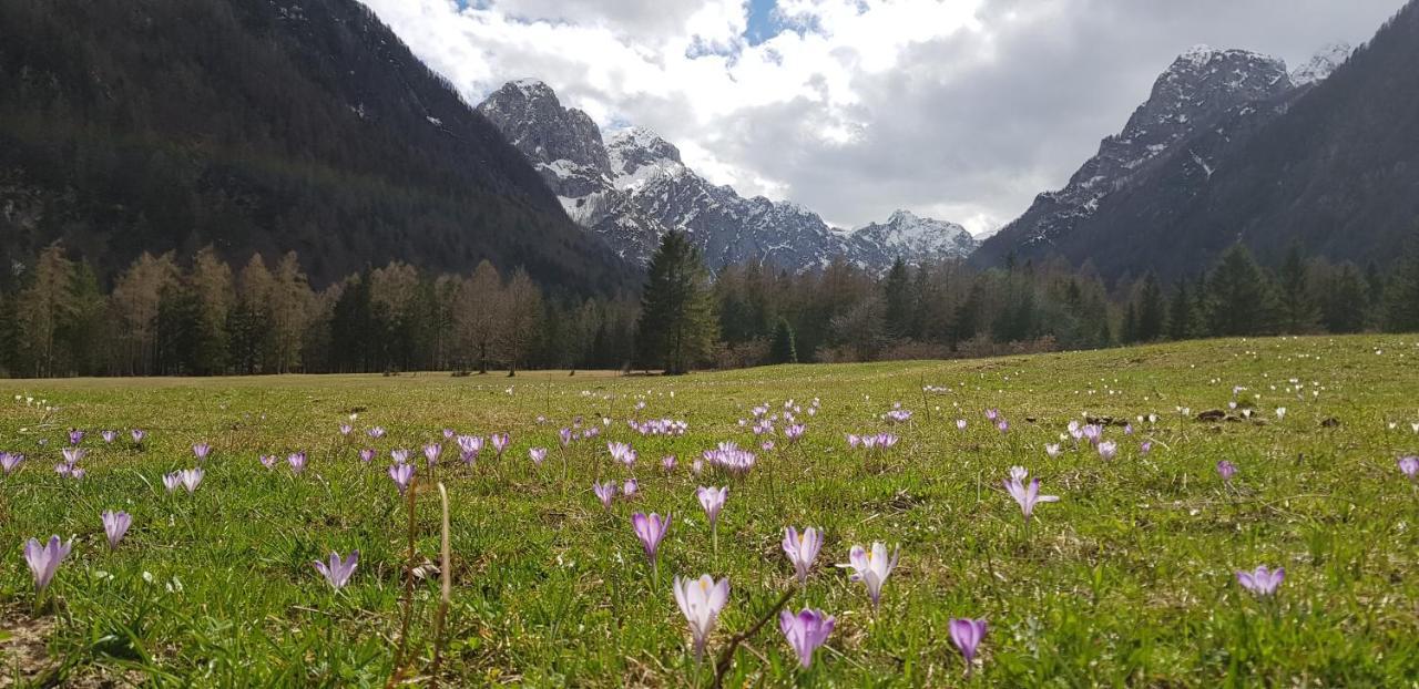 The Oldmillhouse Villa Mojstrana Bagian luar foto