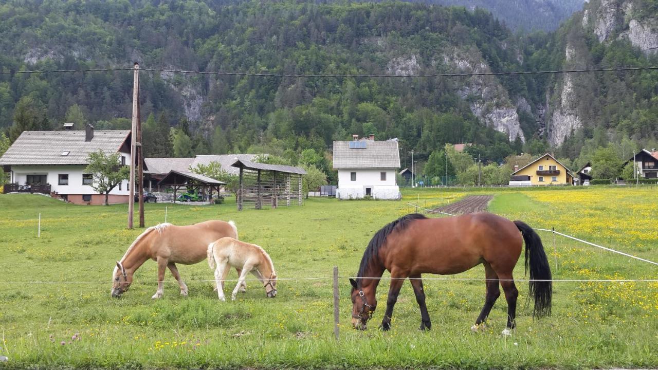 The Oldmillhouse Villa Mojstrana Bagian luar foto