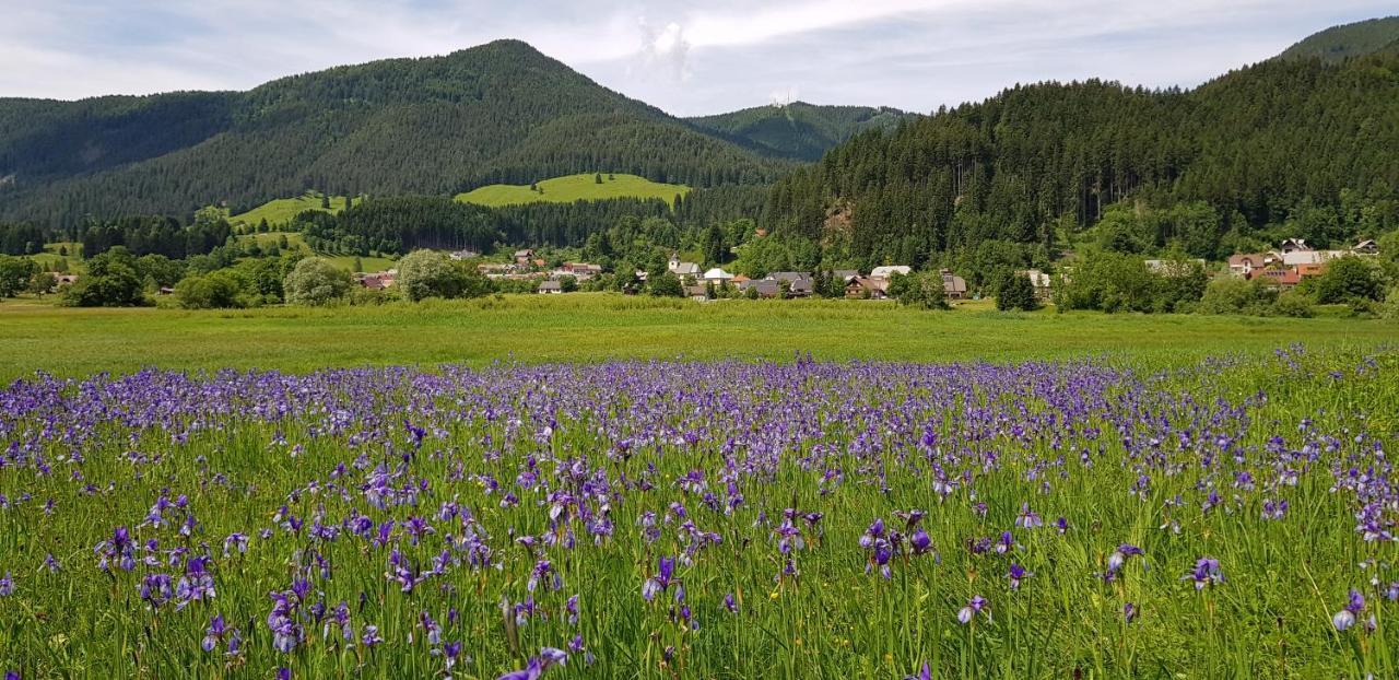The Oldmillhouse Villa Mojstrana Bagian luar foto